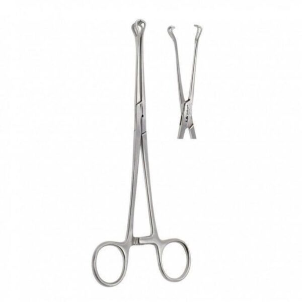 Babcock Forceps