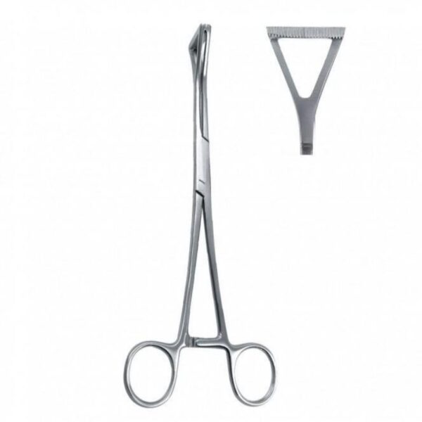 Duval Lung Holding Forceps