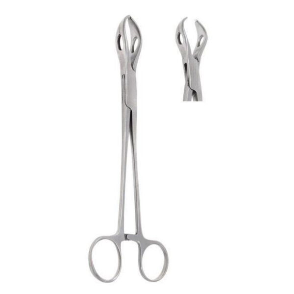 Lanes Tissue Forceps