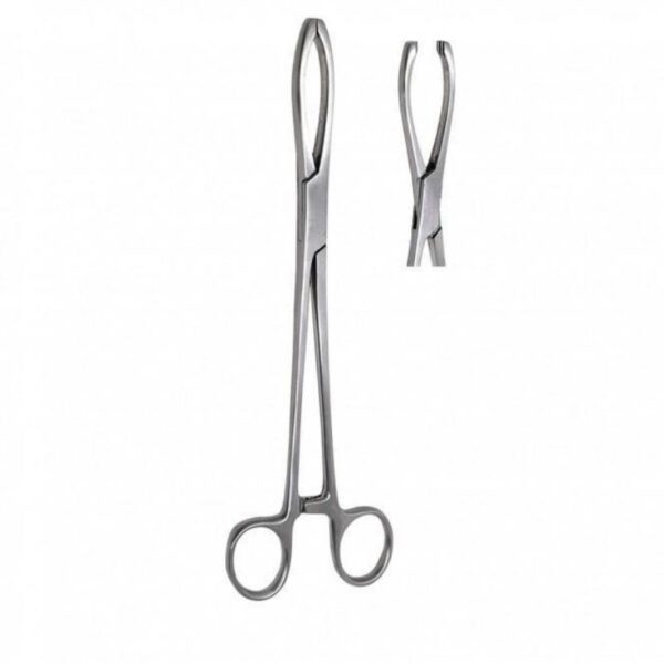 Littlewood Tissue Forceps